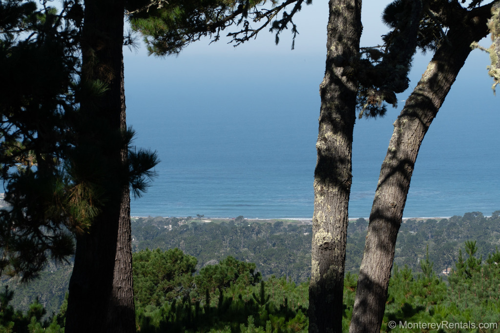 Ocean Pines Pebble Beach