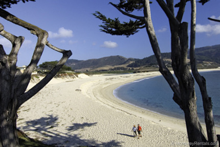 1 Bedroom Cozy Carmel Cottage Carmel By The Sea Ca